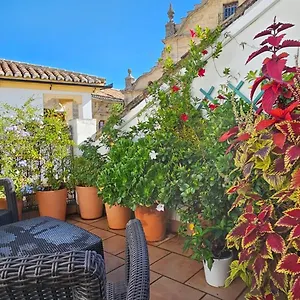 Descalzos Angel With Private Terrace Free Parking Appartement Ronda